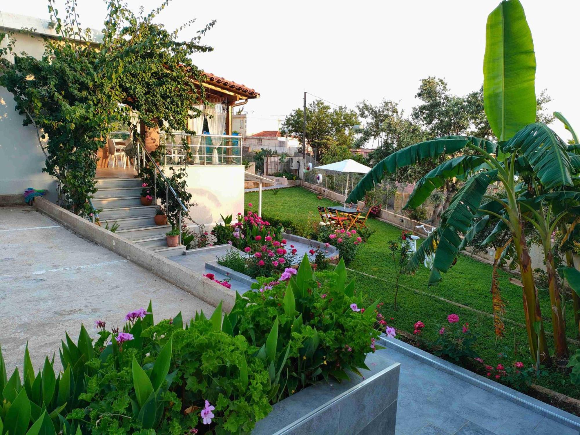 Dreamades House Hotel เดอร์มี ภายนอก รูปภาพ
