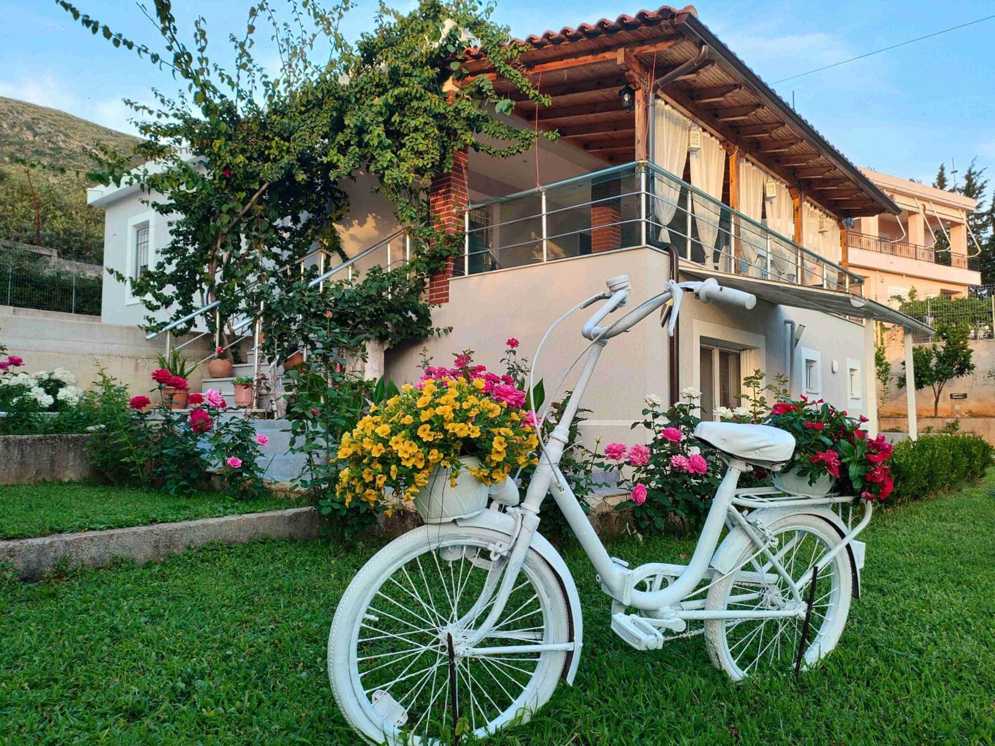 Dreamades House Hotel เดอร์มี ภายนอก รูปภาพ